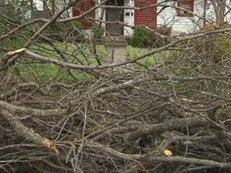 Storm Debris Cleanup Nearly Finished