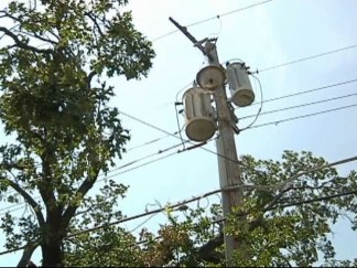 Saving Trees from Saws