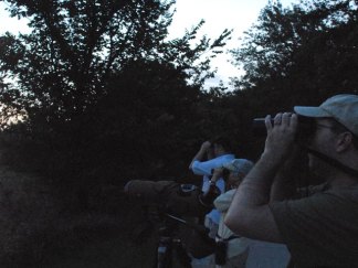 The Birder's Eye View