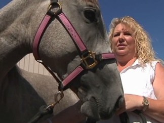 Horse and Owner Reunited