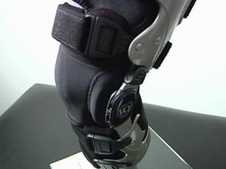 Bionic Knees, Almost