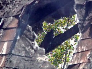 House Fire Investigation Focused on Oncor Crew