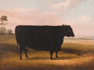 Bovine Art Auction