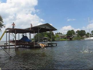 Sam The Dock Jumping Dog