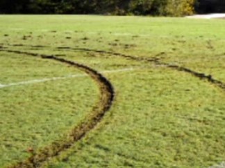 Vandals Cause Park Problems