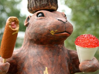 Your State Fair Photos