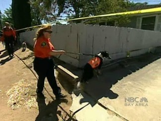 Investigators Search Home Next Door to Garrido Property