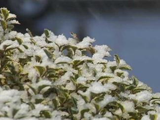 Let It Snow, Let It Snow