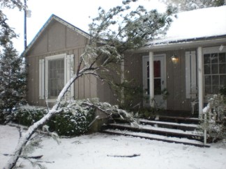 February Snowfall: Gallery I