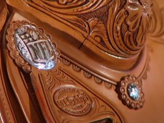 Super Bowl XLV Saddles