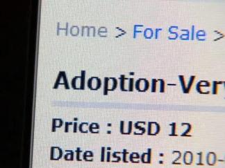 11-Month-Old Twins Listed for Adoption for $12