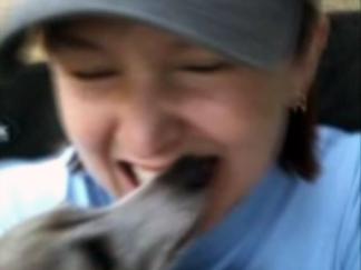 Woman Dies Trying to Rescue Dogs From Icy Pond