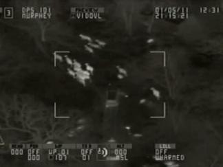 Police Chase Ends in Cow Pasture