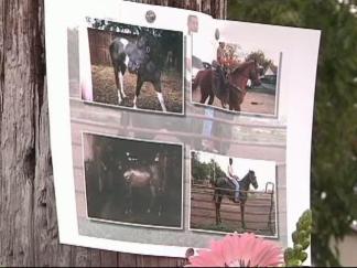 Barn Blaze Kills Horses
