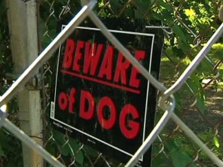 Pit Bull Owner Arrested in Dog Attack