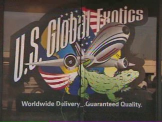 Exotic Animals Seized From Arlington Warehouse