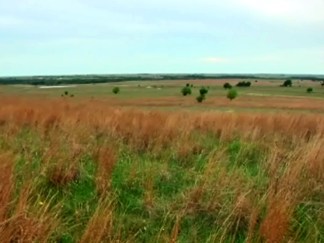 Saving the Fort Worth Prairie