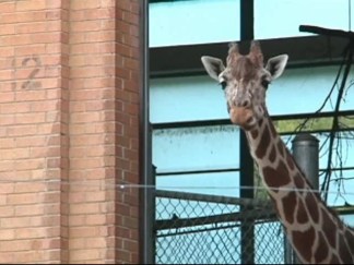 Support the Zoo, Lunch With Leppert, Drive a Boxter