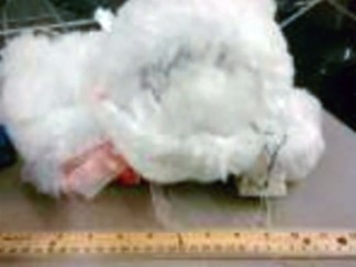 Airport Screeners Find Gun Stuffed in Teddy Bear