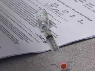 Slow Rollout May Push Swine Flu Vaccinations to November
