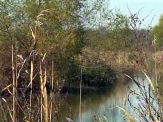 Water District Sues Over Sewer Line in Wildlife Sanctuary