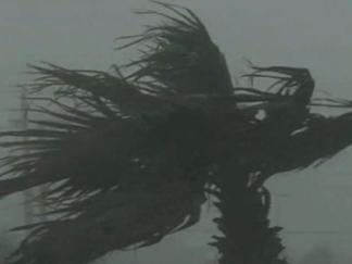 Hurricane Alex's Impact Felt Across Gulf Region
