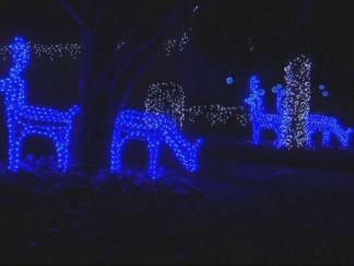 Lights at Interlochen Shine Bright and Early