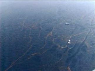 Gulf Coast in Peril