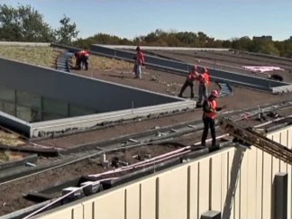 6,000 Plants Sink Roots Into "Green" Roof