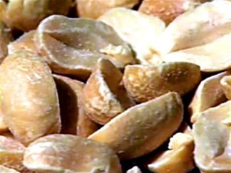 Controversial Treatment Ends Food Allergies