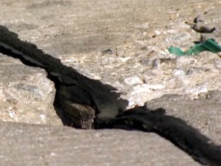Lawsuit Over Potholes