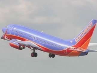 Too Fat to Fly