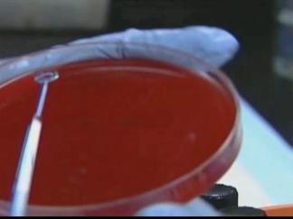 Dallas County Woman Dies of H1N1 Virus