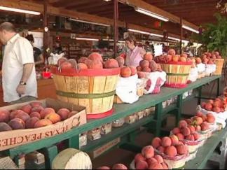 Parker County Comeback Crop Just Peachy