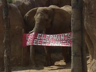 New Dallas Zoo Exhibit