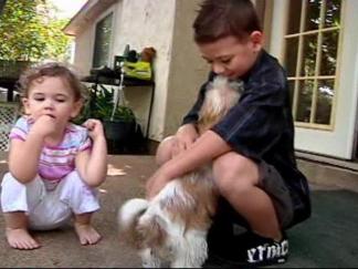 Big Brothers are the Best