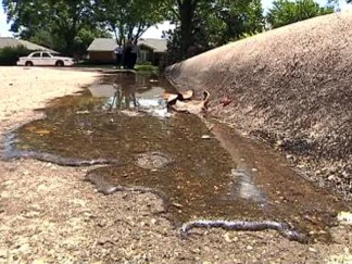 On Patrol for Wasted Water