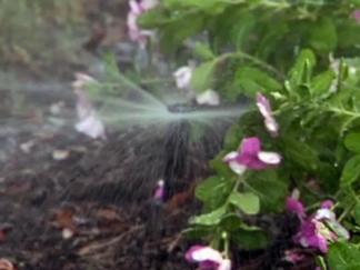 Crash Diet: McKinney Slashes Water Use