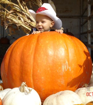 Boo View 2010