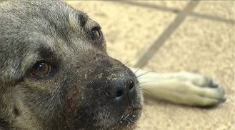 Hope on the Mend in Parker County
