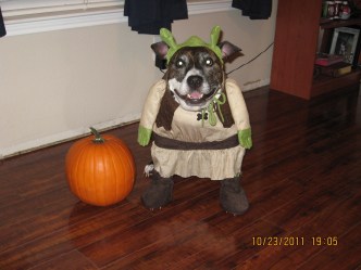 Your Fall Photos 2011 - Gallery IV