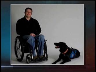 Veteran's Best Friend
