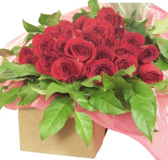 Five Rules: Love in Bloom