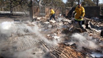 State to Begin Replacing 4M Burned Trees