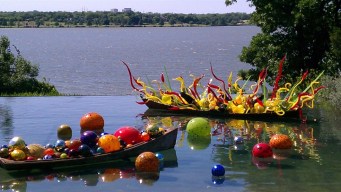 Dazzling Display at the Dallas Arboretum