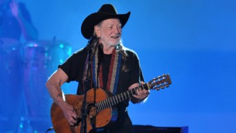 The History of Willie's Picnic