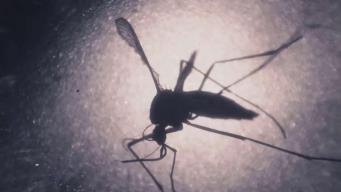 Houston-Area Infant Death Linked to Zika