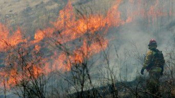 East Texans Hope Rain Will Help Wildfire Risk 