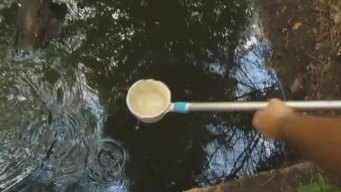 Dallas County Expands WNV Prevention Plan