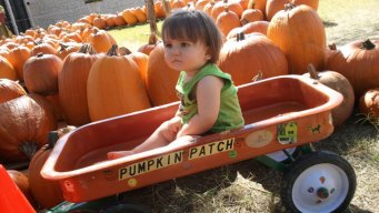 Your Fall Photos 2011 - Gallery VI